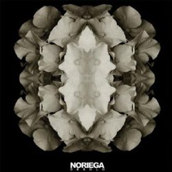 noriega desolo