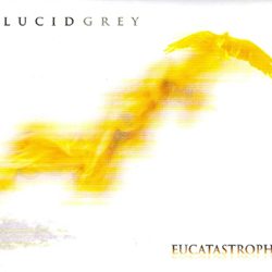 lucidgrey_cover