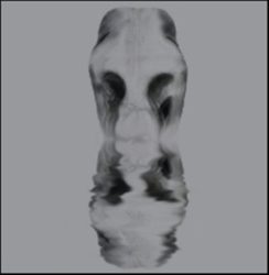 pantheist_cover