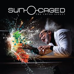 suncaged_thelotuseffect
