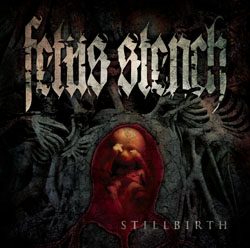 fetusstench stillbirth