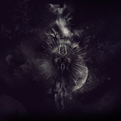 lebenohnelichtkollektiv immemorial quantumofabstractphysic