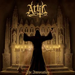 attic cover