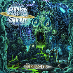 ringsofsaturn ringir