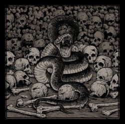 deathstorm nechesh