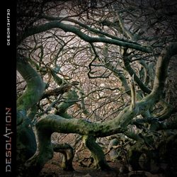 desolation desoriented