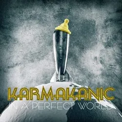 karmakanic_inaperfectworld