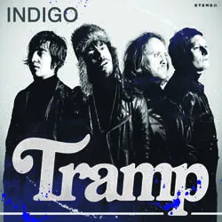tramp_indigo