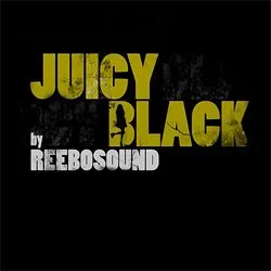 reebosound juicyblack