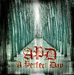 aperfectday aperfectday