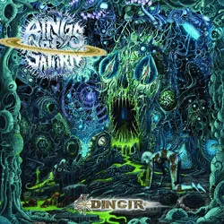 ringsofsaturn ringir