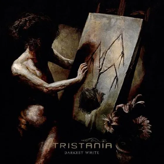 tristania darkestwhite