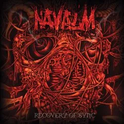 navalm recoveryofsync