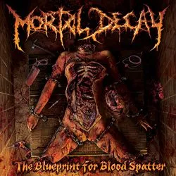 mortaldecay theblueprintforbloodspatter