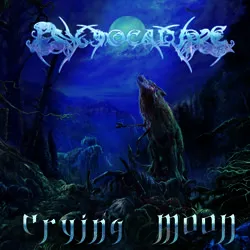 psychocalypse cover